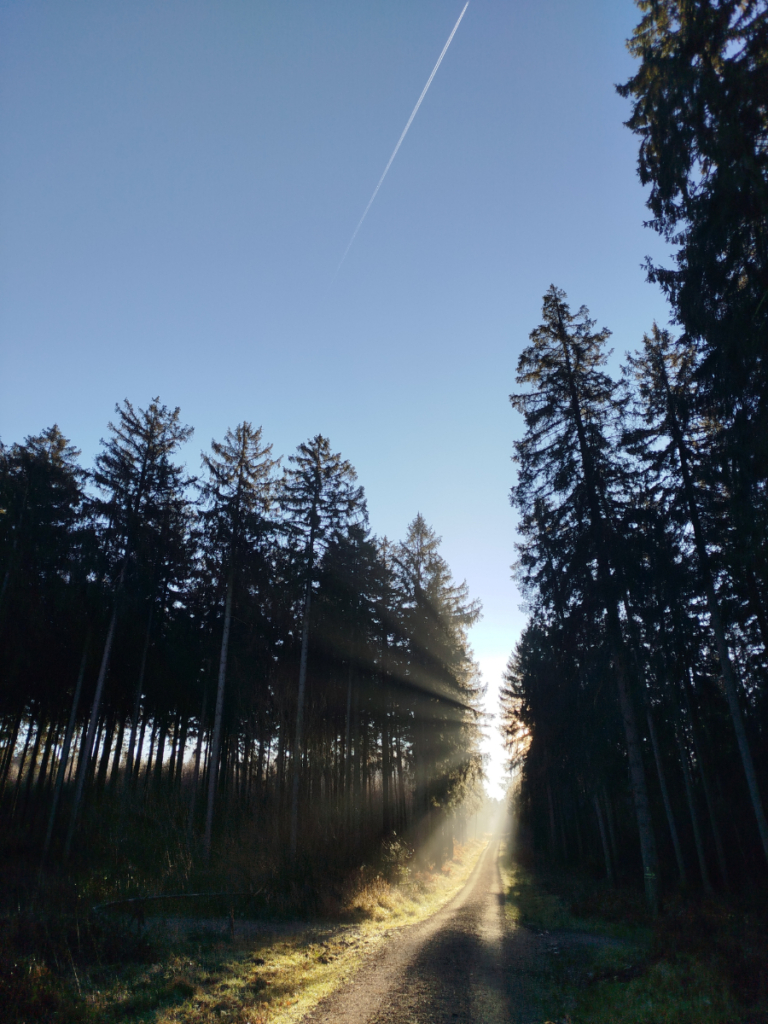 Wegbild261224
